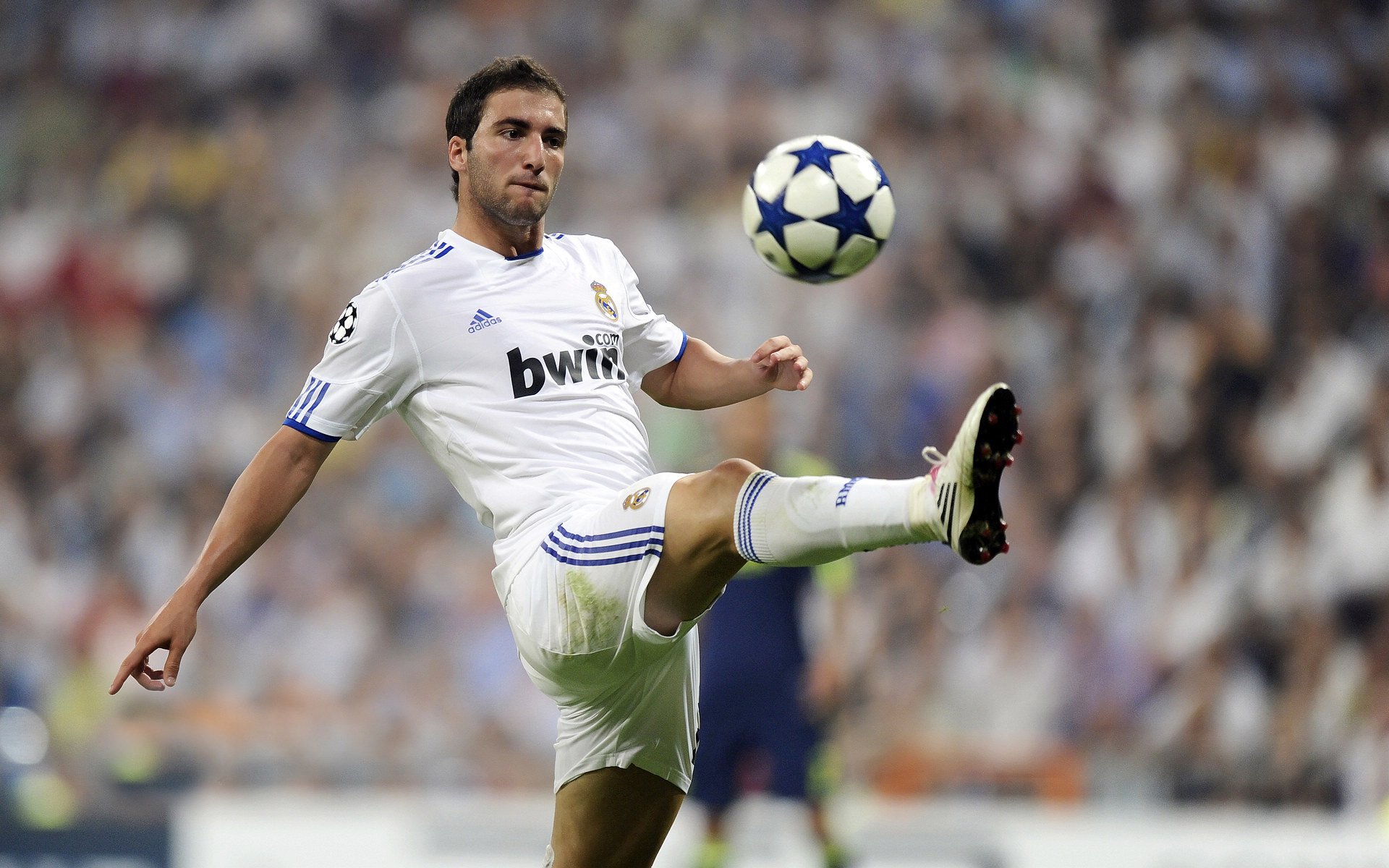 FBsports-赛道上的新纪元，雷诺力克哈斯，汉密尔顿刷新不朽纪录