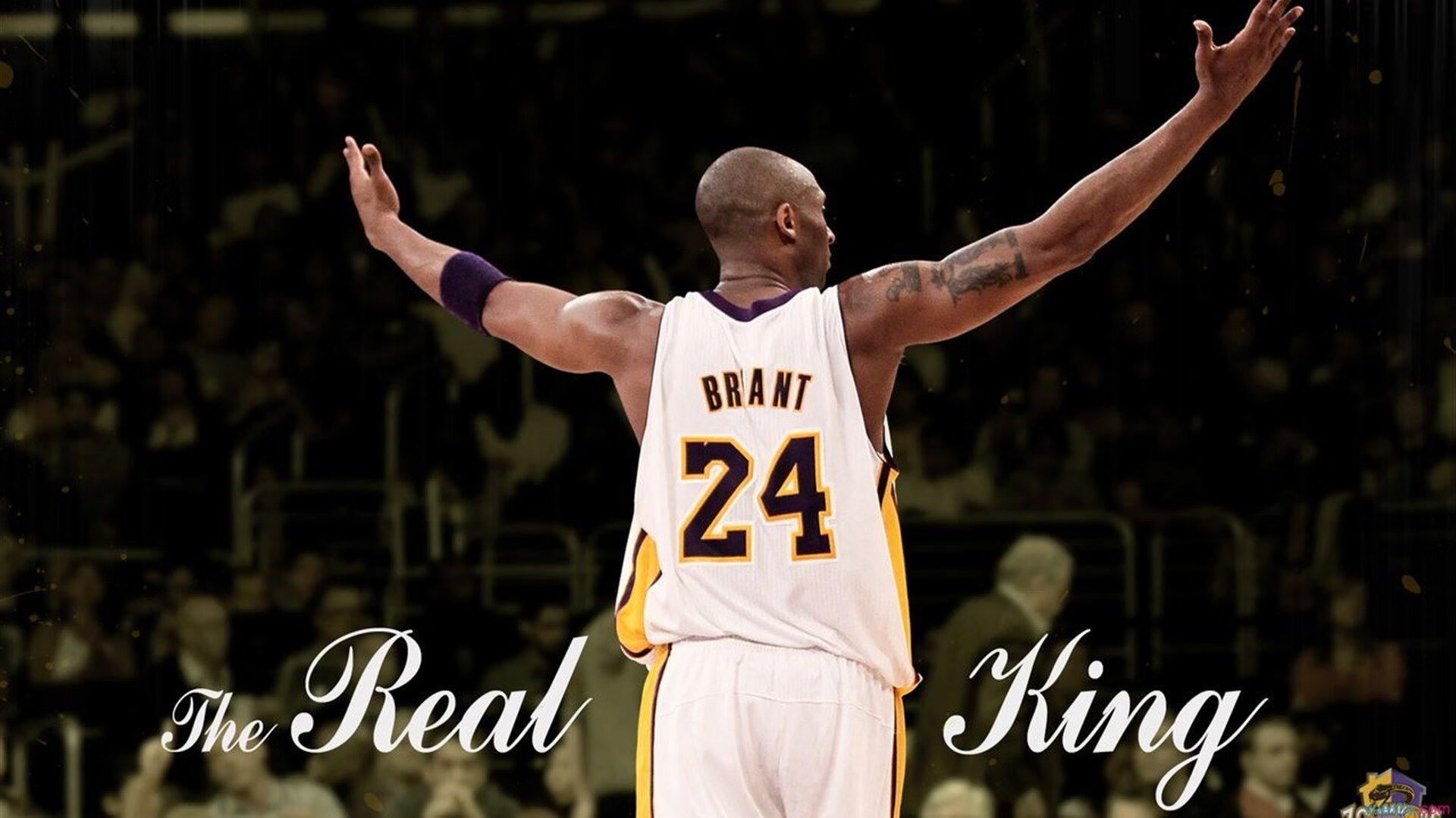 浙江队节奏掌控启示录，当克莱式完美发挥遇见湖人体系